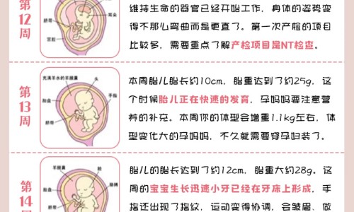 心脏不好吃什么药最好最有效专区_心脏不好吃什么药最好最有效专区_心脏不好哪些药不能吃什么网