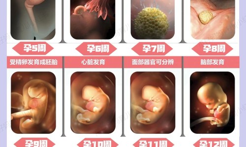 心脏不好吃什么药最好最有效专区_心脏不好吃什么药最好最有效专区_心脏不好哪些药不能吃什么网